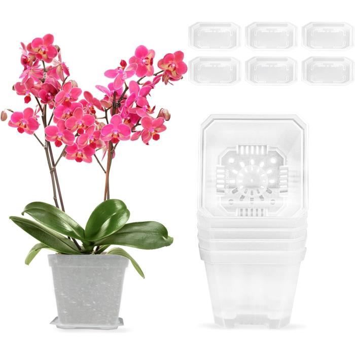 Cache Pot Transparent Pour Orchidée
