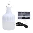 50W lampe de camping solaire portable rechargeable ampoule YAN0-1