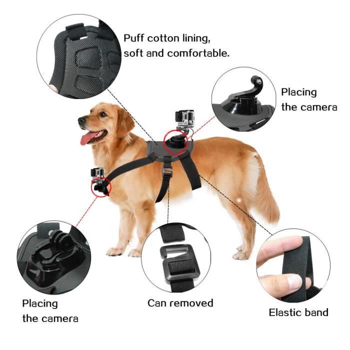 Kit 3 En 1 Harnais Poitrine Tête Poignet Pour GoPro - Fixations Action Caméra