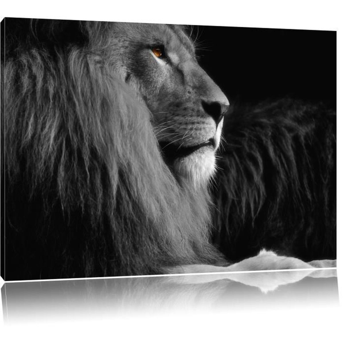 Toile Imprime Beau Lion Noir Blanc Fier Completement Encadrees Avec Civiere Wall Art Print Sur Le Cadreformat 80x60cm Achat Vente Tableau Toile Cdiscount Décorez votre intérieur avec un tableau d'artiste en métal au système d'accroche innovant lire la suite >. eur