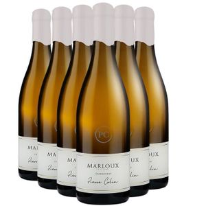 VIN BLANC Pierre Colin Marloux Chardonnay Blanc 2021 - Lot de 6x75cl - Vin Blanc de Bourgogne - Appellation VDF Vin de France - Origine