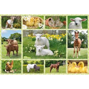 Puzzle Bebe Animaux Cdiscount Puzzle Bebe Animaux Cdiscount