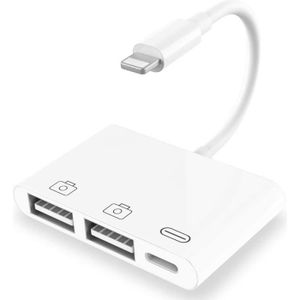 Chargeur Rapide 20W + Cable USB-C Lightning pour Ipad 7 10.2 (2019)  (A2197-A2198-A2200) 10.2 - Yuan Yuan