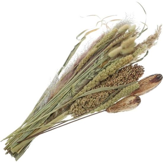 Fadun Herbe De La Pampa 5 Tiges 37 Pouces Pampas Sechees Decoration Grande Taille Fleur