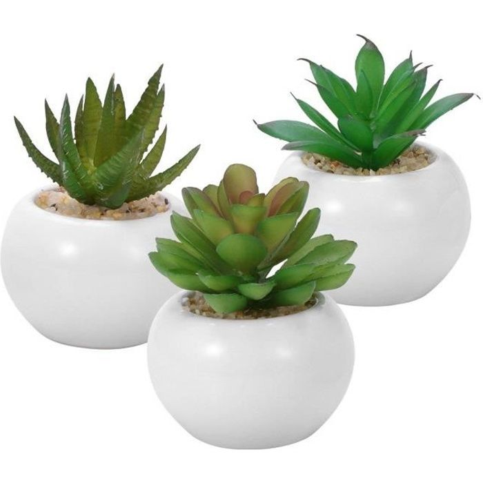 3pcs succulentes artificielles décoratives, Mini pot de fausses plantes avec des pots blancs