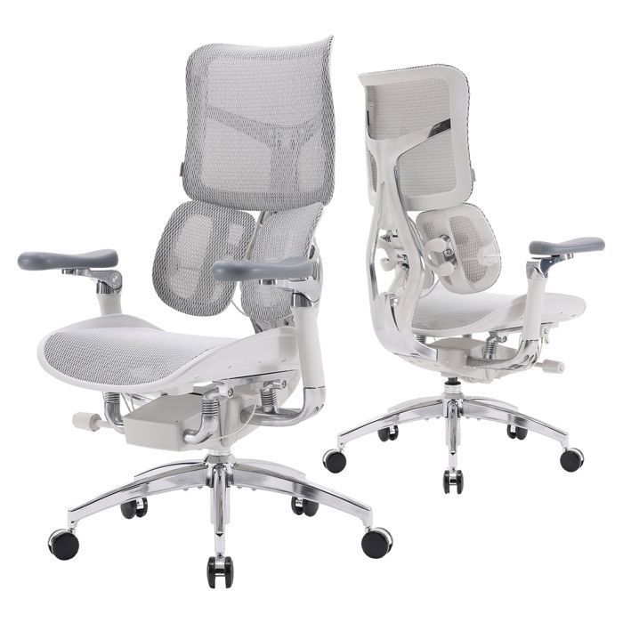 SIHOO S300 Chaise de Bureau ErgonomiqueDouble Support Lombaire DynamiqueAccoudoirs Coordonnés 6DMaille de Velours Italien Blanc