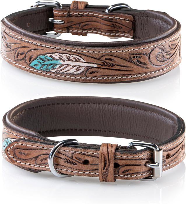 Collier Pour Chien En Cuir Rembourré Main - Toutes Races, Réglable, Qualité Supérieure Fabriqué En Inde