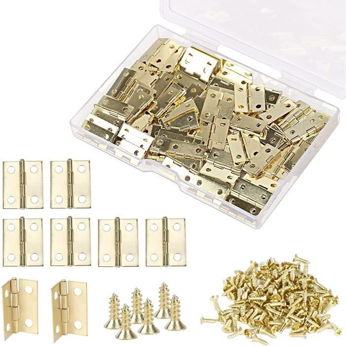 100pièces Mini Charnière Mini Charnières pour Boîte Mini Charnière en Laiton avec 400 pièces Vis