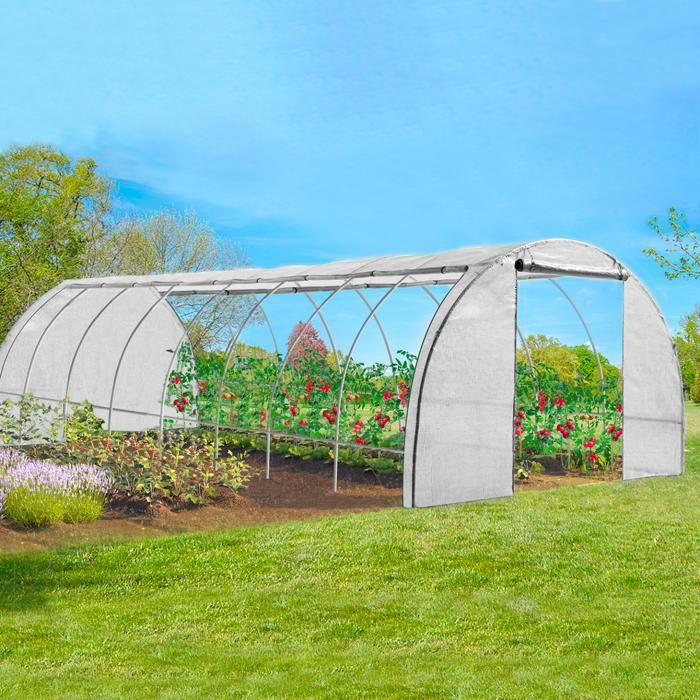 MARKET Serre jardin 4 SA - vue 2