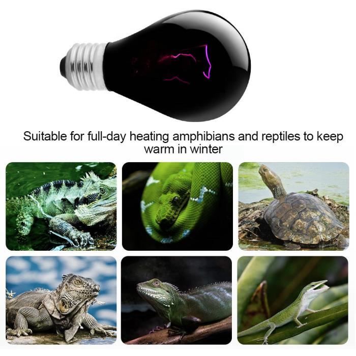 Meilleurs prix pour Lampe Tortue - 100W Tortue Terrestre Chauffante Reptiles et Amphibiens pour Aquarium -CHT