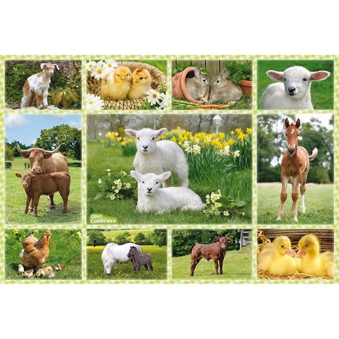 Schmidt And Spiele Puzzle Enfant Bebe Animaux A La Ferme 100 Pcs Cdiscount Jeux Jouets Schmidt And Spiele Puzzle Enfant Bebe Animaux A La Ferme 100 Pcs Cdiscount Jeux Jouets