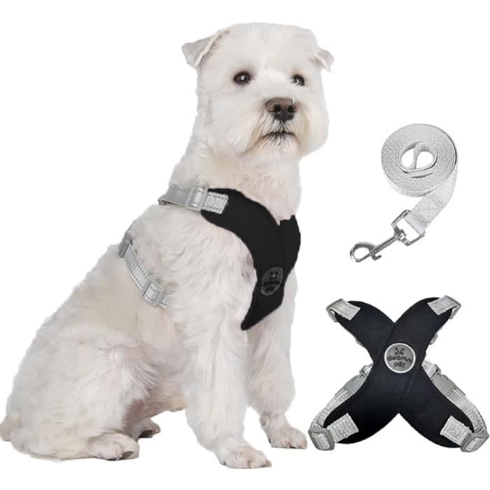 Collier,Harnais Réfléchissant Et Réglable Pour Chat, Collier Avec