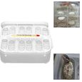 Reptile boîte d'incubation Reptile Incubateur Plateau d'oeufs d'incubation Boîte de 12 filets pour tortue Gecko Lézards-2