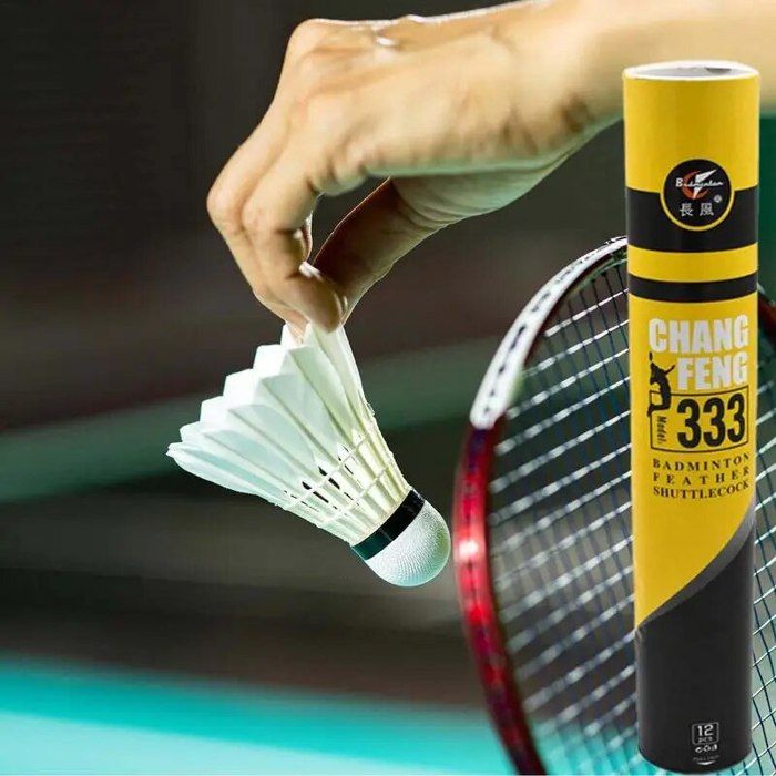 Volants De Badminton En Plumes D'Oie - Lot De 12, Haute Vitesse Et Durables Pour Jeu En Extérieur Ou Intérieur - 13