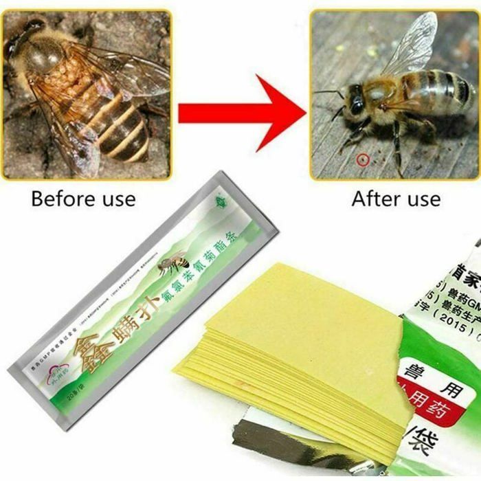 Bocal Test Varroa Anti-Fuite - Outil Apiculture Flacon Compteur Acariens, Plastique Durable 10x15 Cm Pour Apiculteurs