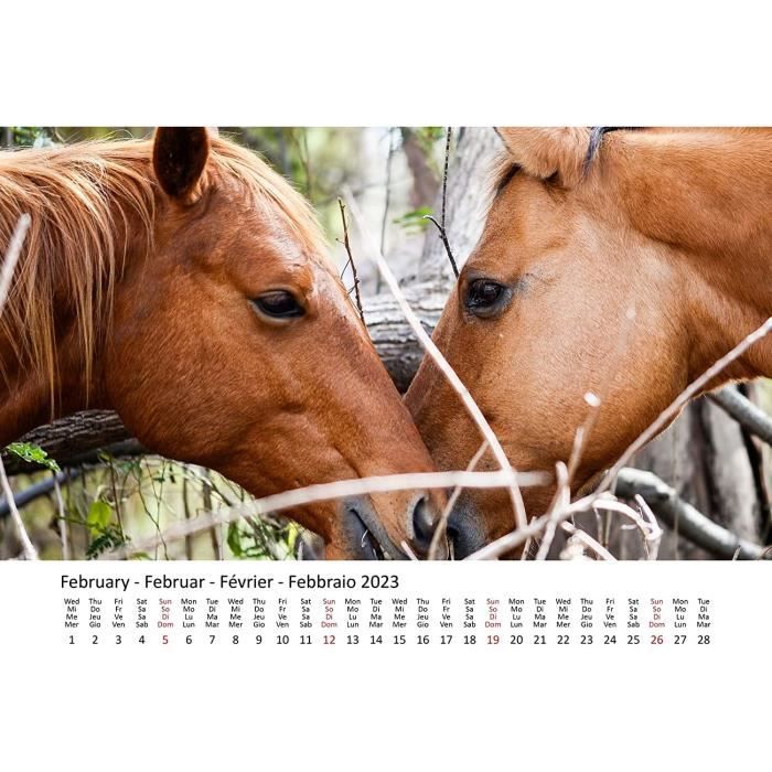 Calendrier mural animaux - Cdiscount