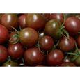 35 Graines de Tomate Cerise Black Cherry - légumes semis potager - méthode BIO-0