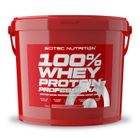 Whey protéine - Scitec Nutrition - 100% WHEY PROFESSIONAL (5kg) - Saveur Fraise