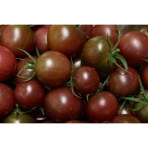 graines de tomate Kaki 50 graines Graines Potager Légumes Plantes graines de tomate Kaki 50 graines Graines Potager Légumes Plantes