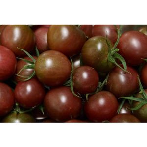 GRAINE - SEMENCE 35 Graines de Tomate Cerise Black Cherry - légumes