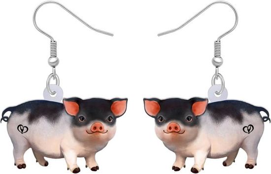 LONYOO Acrylique Drôle De Boucles D'Oreilles Grenouille Dangle