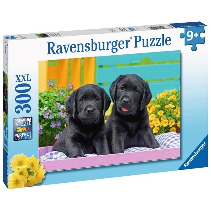 Puzzle 300 p XXL - Labradors noirs