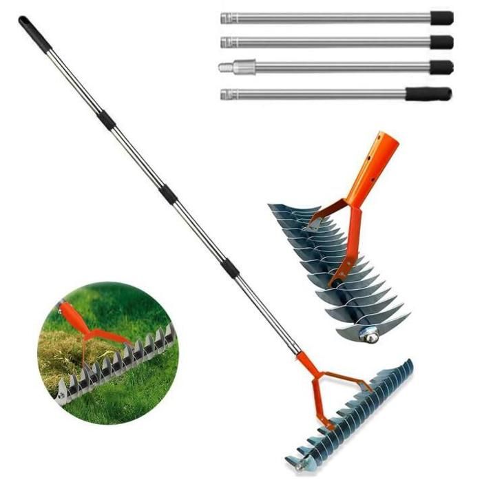 Rateau Scarificateur Scarificateur Gazon Manuel avec Manche 170cmPeigne à Gazon
