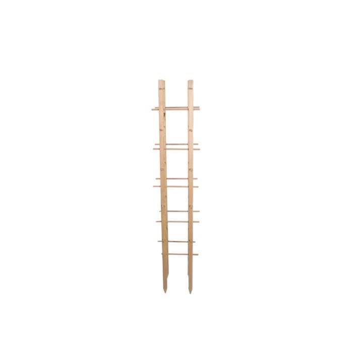 Support pour plantes en bois - Beige - 30 x 30 x 150 cm