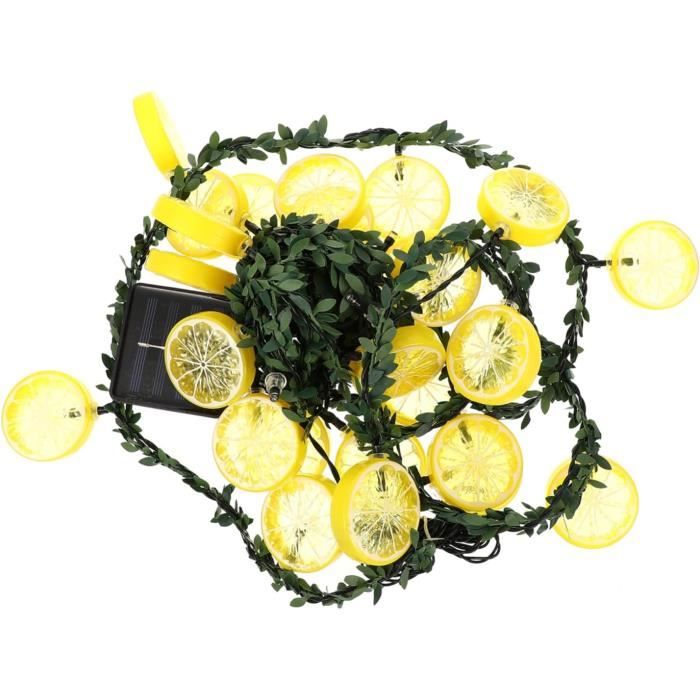 ORFOFE Guirlande Lumineuse Himalayenne En Sel Véritable Usb