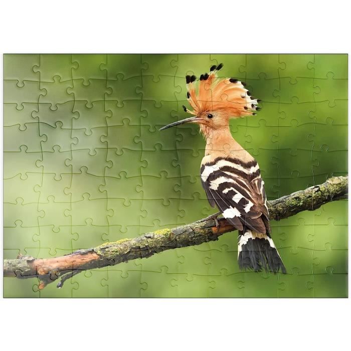 MyPuzzle Panorama De Siena - Toscana, Italia - Premium 200 Piezas Puzzles - Colección Especial MyPuzzle De Starnberger Spiele