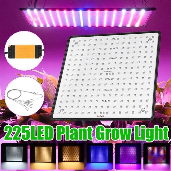 Lampe Horticole LED 1000W équivalent - Spectre Complet 225 LEDs | 30x30cm, Dissipation Aluminium | Pour Plantes Intérieur, Serre