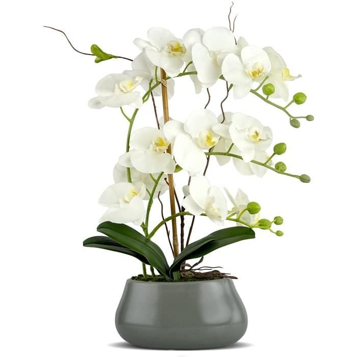 Fleur artificielle d'orchidée violette Faux bonsaï avec vase, arrangement  de plantes vives Phalaenopsis Décoration d'intérieur - Cdiscount Maison