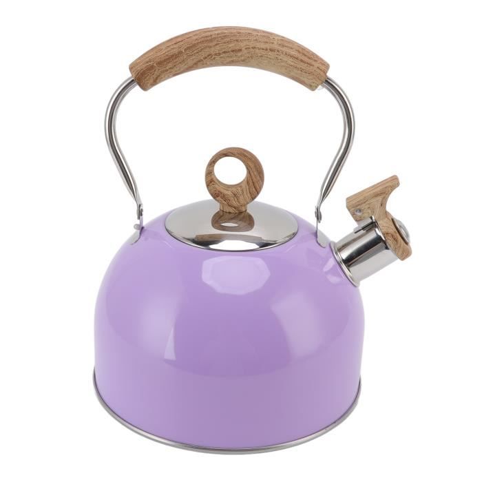 Cabilock Bouilloire à Thé En Acier Inoxydable - Avec