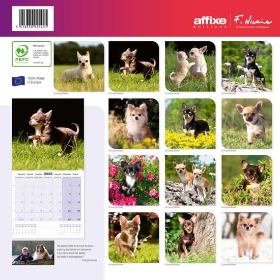 Calendrier Affixe 2023 Calendrier Chihuahua 2022 - Affixe - Cdiscount Beaux-Arts Et Loisirs  Créatifs