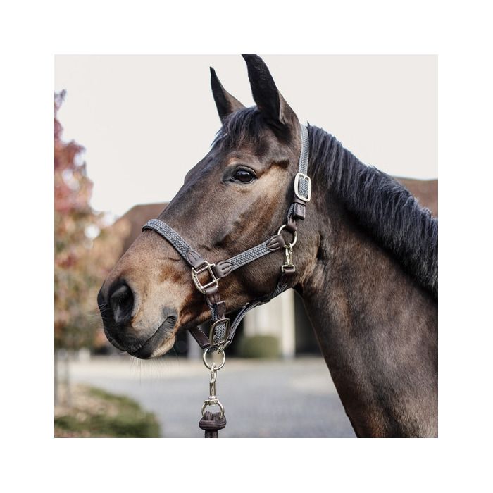 Licol Pour Poney Licol Kerbl Hippo En Nylon Pour Poney Et Cheval - Taille 0 (Shetland) - 6 Couleurs Disponibles - Anthracite/Lemon