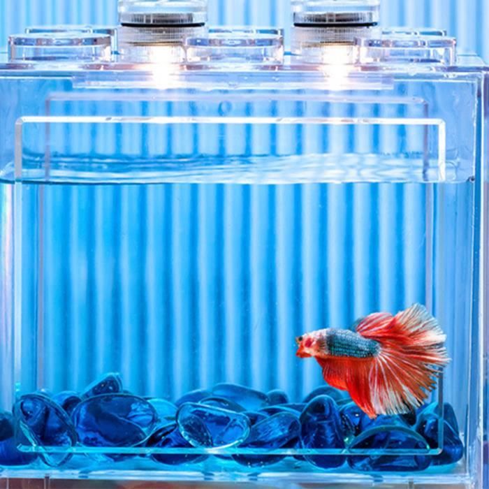 Mini Aquarium Acrylique Pour Poisson Betta Avec LED | Décoration De Bureau Élégante | Bol Transparent Avec Trou D'Alimentation