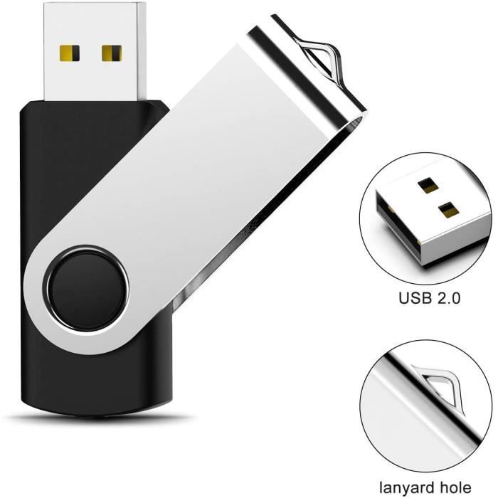 Lot Clés USB 2 Go Lot de 20 Cle USB 2.0 Pas Cher Clef USB Porte-Clé  Stockage Externe Mémoire Porte Clé pour PC, TV, Ipad, Voiture