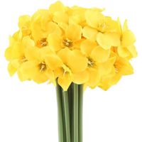 2 bouquets de 12 têtes de jonquilles artificielles, utilisées pour la maison, les mariages (en jaune)