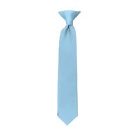 Cravate à clip pour garçon à couleur unie de NYFASHION101, Bleu poudre 20,3 cm