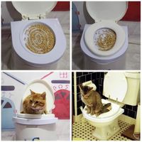 Kit de formation de toilette de chat garder la pièce propre
