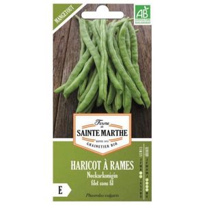 GRAINE - SEMENCE Graines à semer - haricots mangetout Neckarkonigin