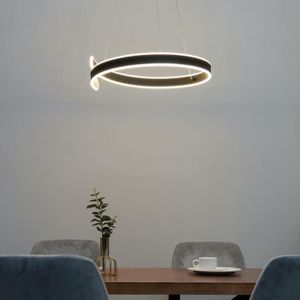 LUSTRE ET SUSPENSION Suspension design anneau spiral noir LED - Brazan