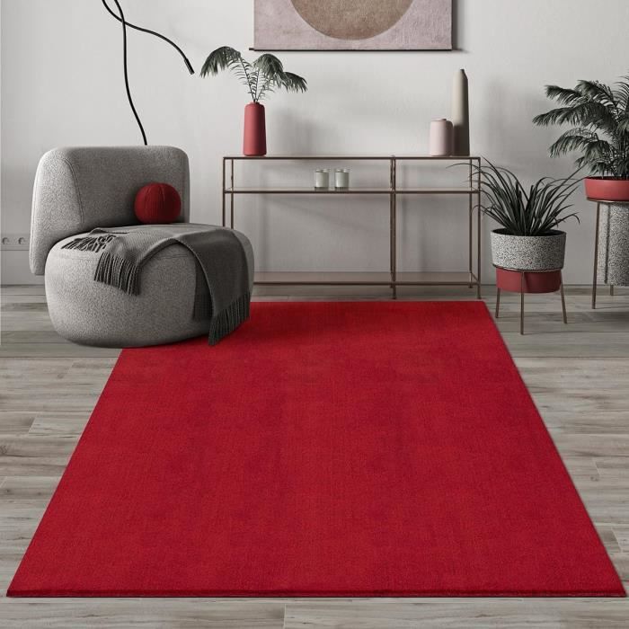 Types Rouge Tapis Moderne Confort - Comfort - Rouge et Gris - 120 x 170 cm - Poils ...
