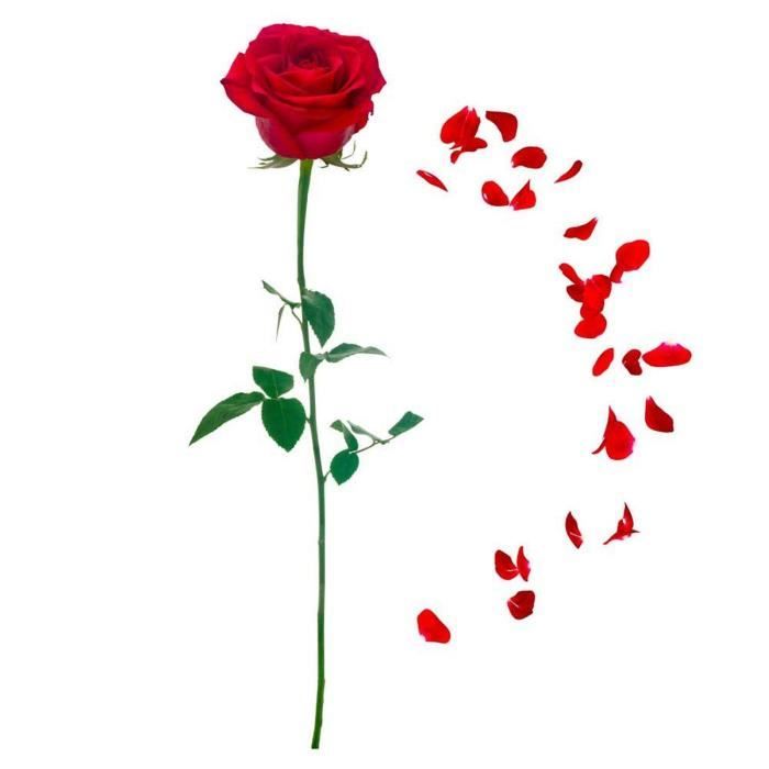 Decalmile Stickers Muraux Fleurs des Roses Rouge Romantique