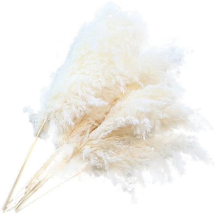60 Tiges D'herbe De La Pampa Séchée - Bouquet Décoratif Naturel 45 Cm, Pour Vase, Mariage, Décoration Maison