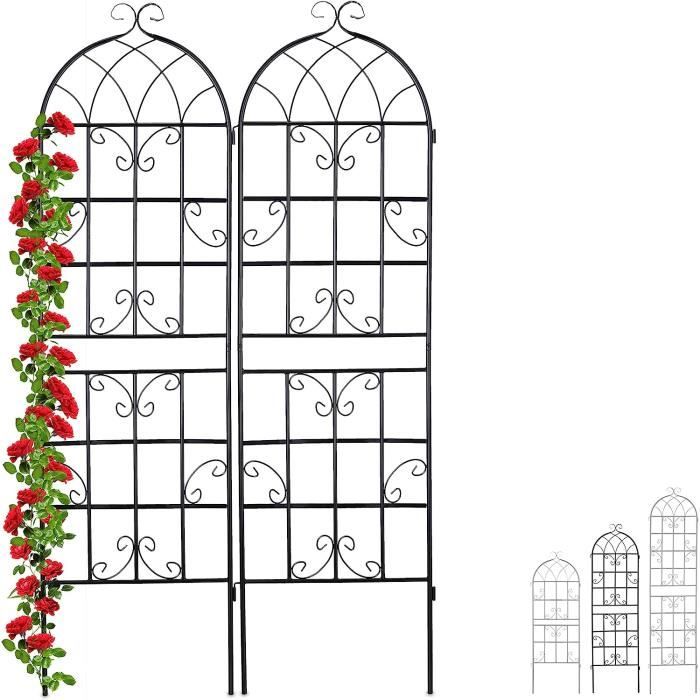 Lot 2 Treillis De Jardin Métal 220 X 50 Cm - Tuteur Plantes Grimpantes Noir