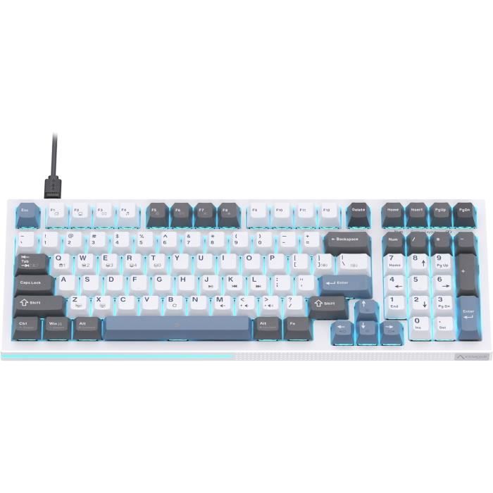 Clavier Mécanique Leopold FC980C 30g – 98 Touches, Capacité électrostatique, Blanc/gris