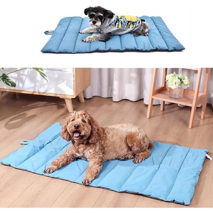 Plaid Chien, Tapis Chien Voiture Voyage Lavable pour Chien Petit Moyen  Taille, Coussin Chat Impermeable Plaid lit Chien pour Intérieur Extérieur -  100 x 70cm (Noir) : : Animalerie