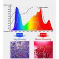 600W 169LED Lampe de Croissance Plant Full Spectrum UV Culture Floraison Légume EU Prise-2