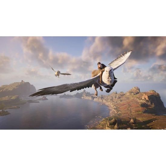 HOGWARTS LEGACY L'HÉRITAGE DE POUDLARD Jeu PS4 Cdiscount Jeux vidéo